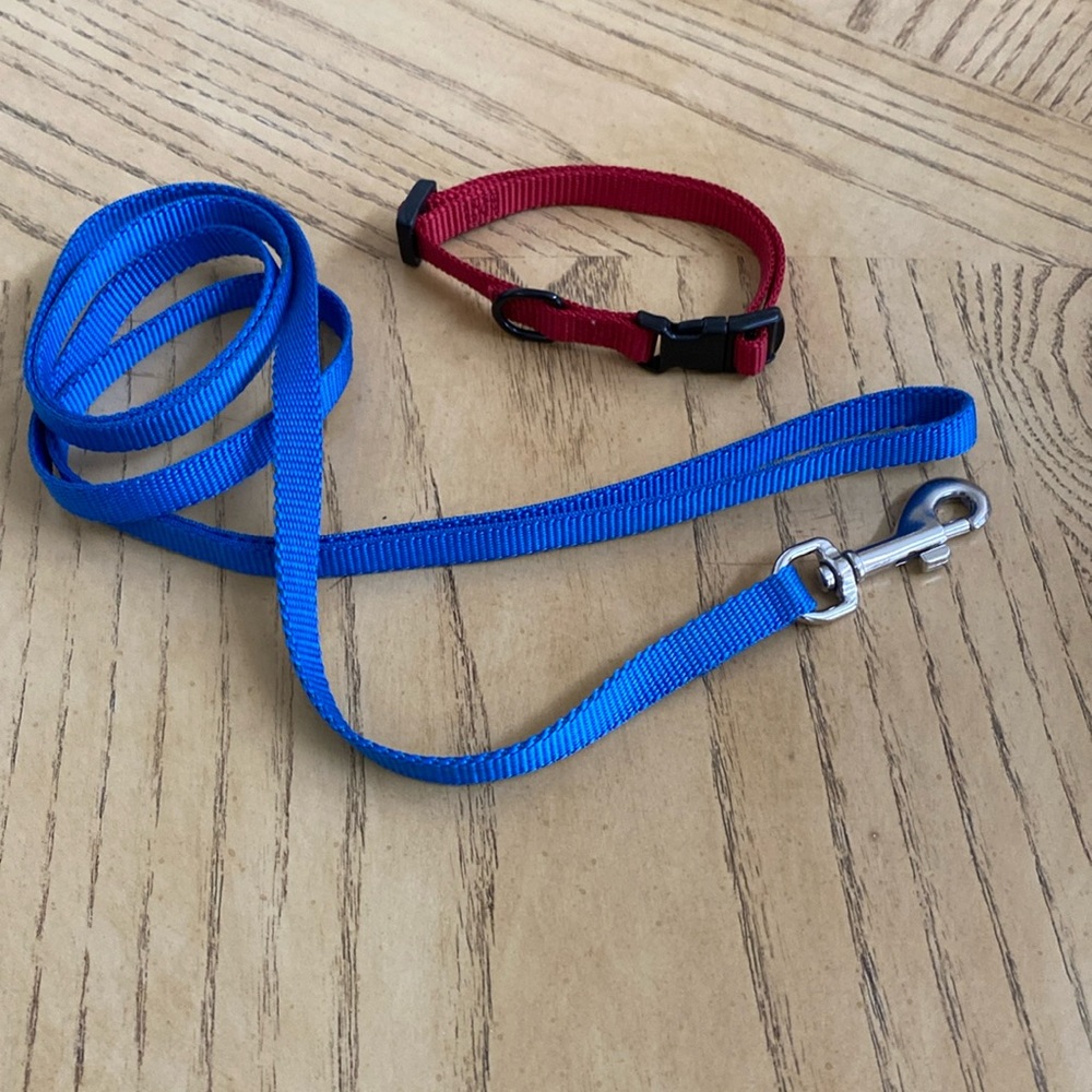 Small Dog Collar & Leash Set